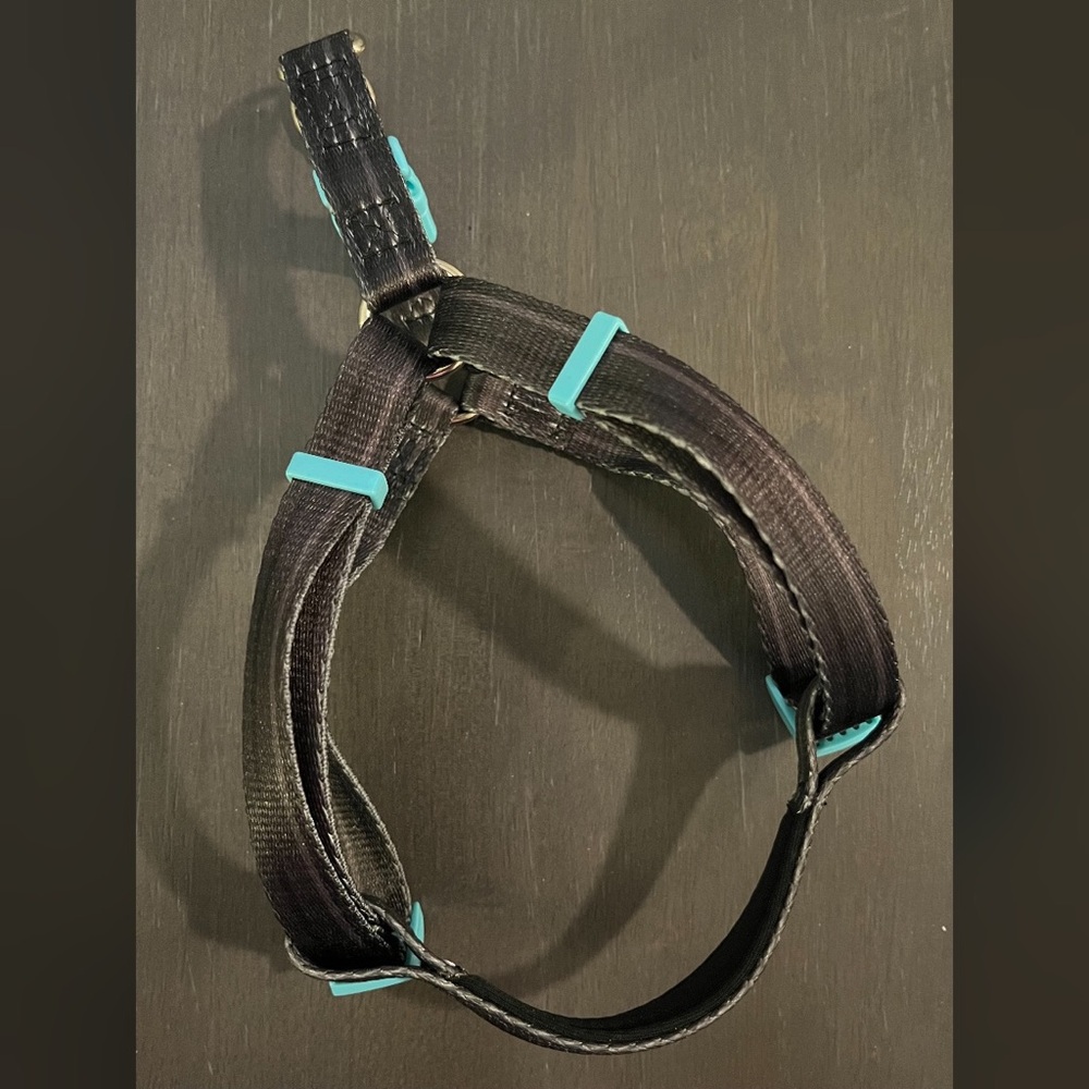 PRIDE BITES Dog Harness